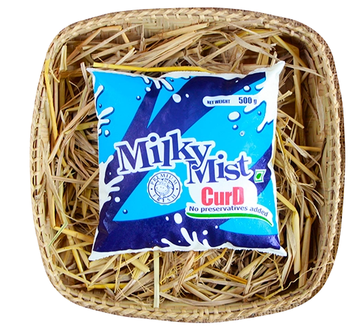 Milky Mist Curd