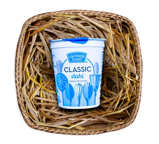 Mother Dairy Dahi